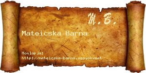 Mateicska Barna névjegykártya